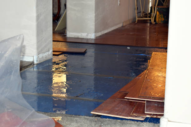 Professional Basement Flood Cleanup technician working in Glenview, IL
